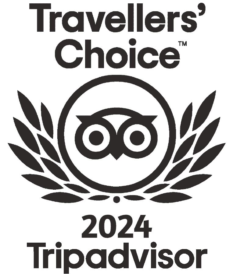 TA Travelers Choice 2024 award grey